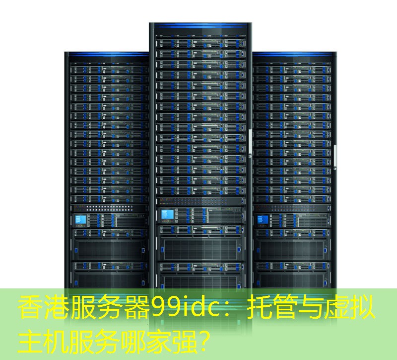 香港服务器99idc：托管与虚拟主机服务哪家强？