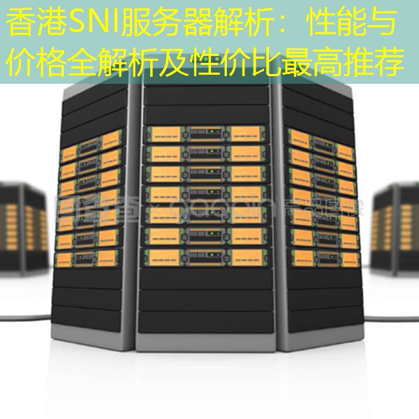 香港SNI服务器解析：性能与价格全解析及性价比最高推荐