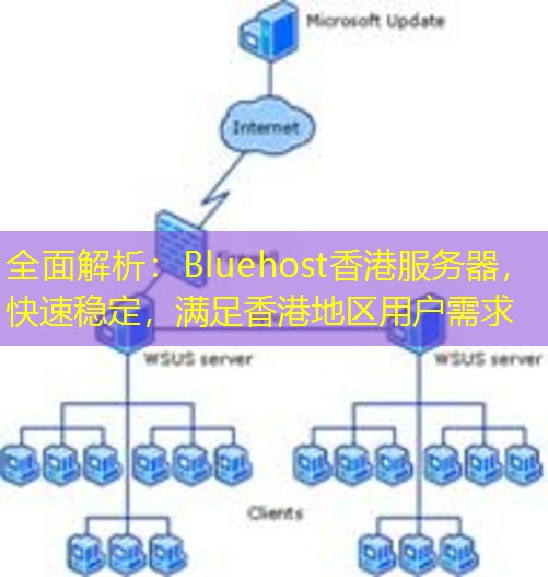 全面解析：Bluehost香港服务器，快速稳定，满足香港地区用户需求