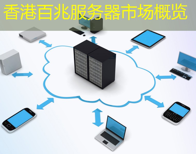 香港百兆服务器市场概览