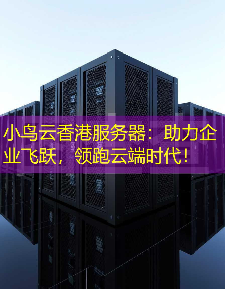 小鸟云香港服务器：助力企业飞跃，领跑云端时代！