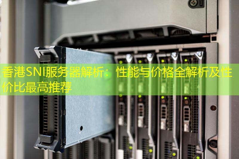 香港SNI服务器解析：性能与价格全解析及性价比最高推荐