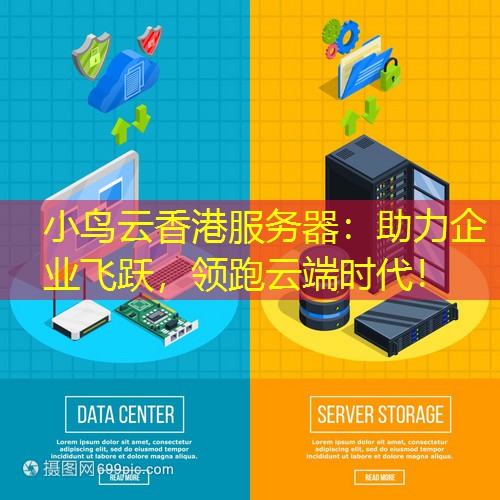小鸟云香港服务器：助力企业飞跃，领跑云端时代！