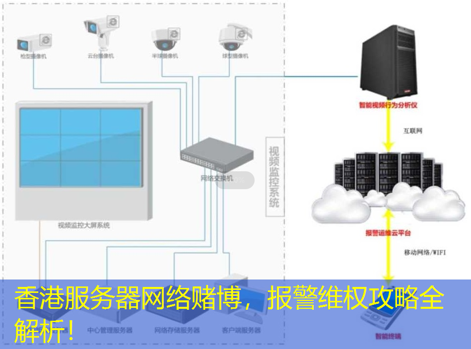 香港服务器网络赌博，报警维权攻略全解析！
