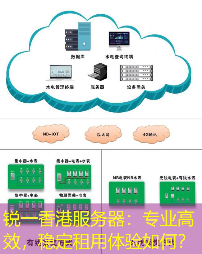 锐一香港服务器：专业高效，稳定租用体验如何？