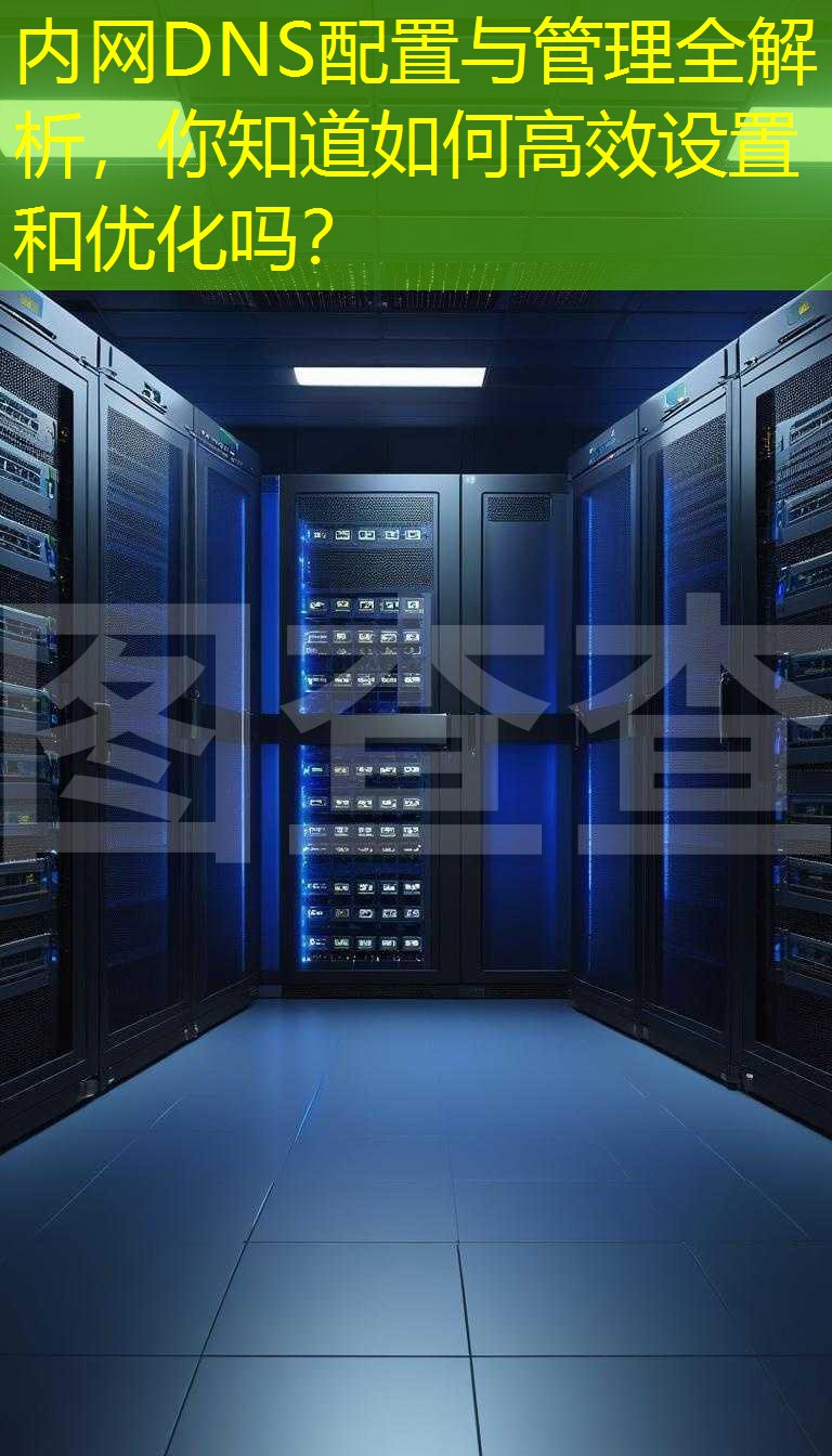 内网DNS配置与管理全解析，你知道如何高效设置和优化吗？