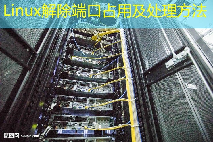 Linux解除端口占用及处理方法