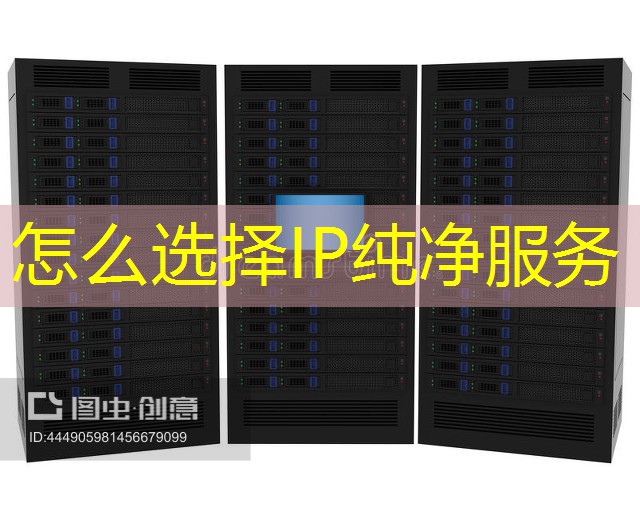 怎么选择IP纯净服务