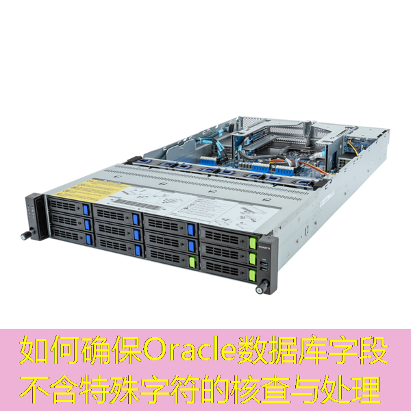 如何确保Oracle数据库字段不含特殊字符的核查与处理