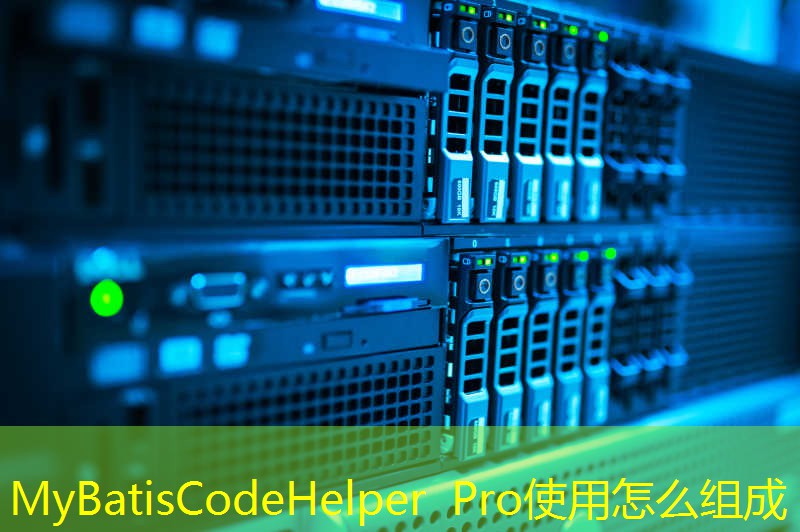 MyBatisCodeHelper Pro使用怎么组成